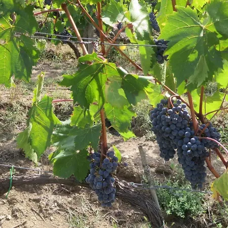 Agriturismo Il Colle Poggio Alla Croce